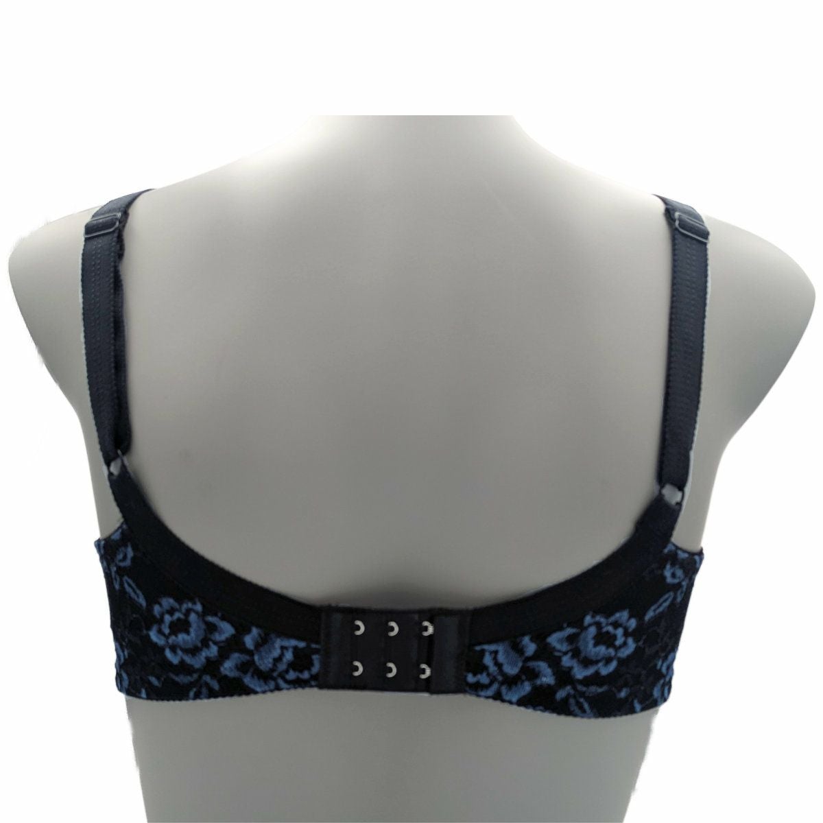 ブルーノワールバック