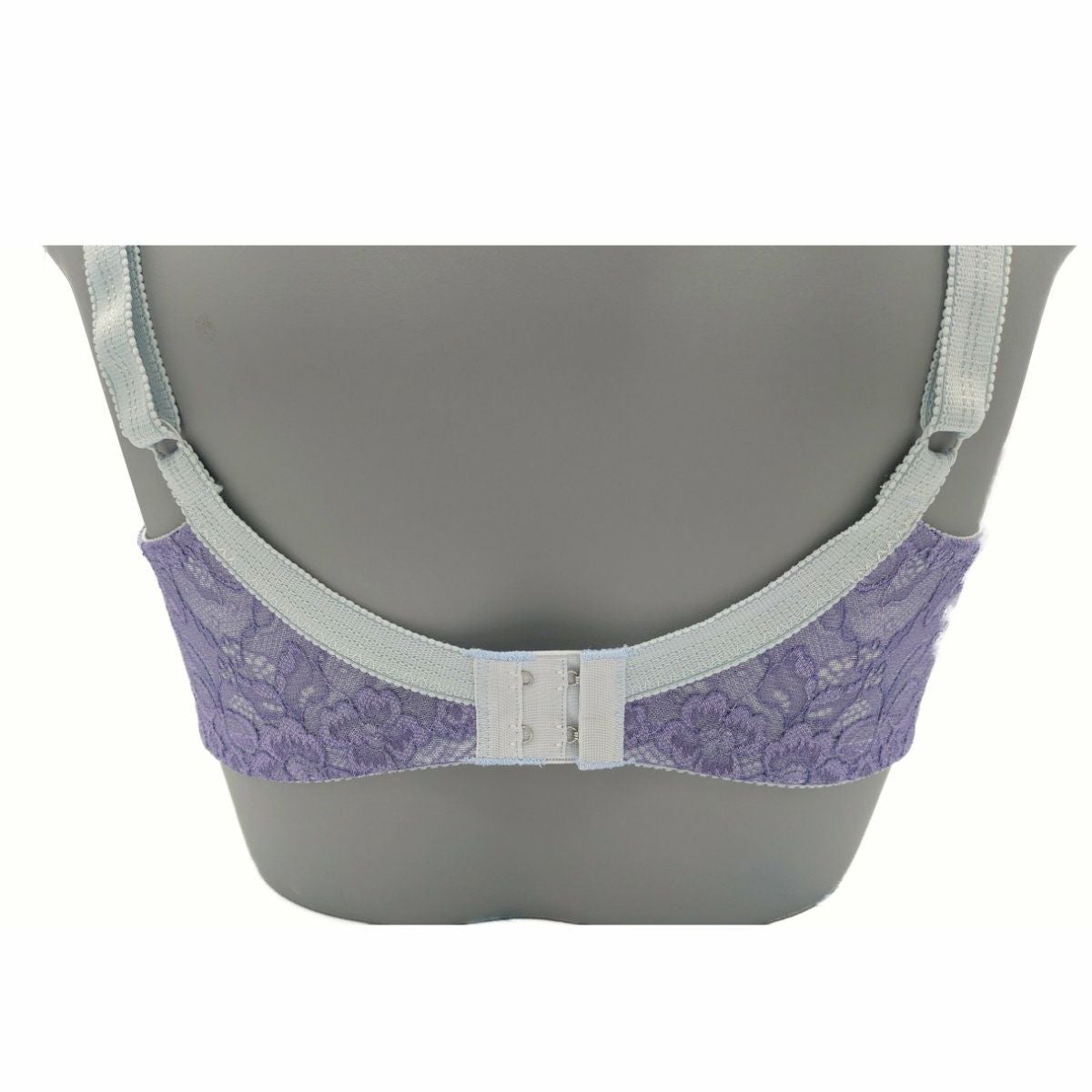 ウィスタリアバック